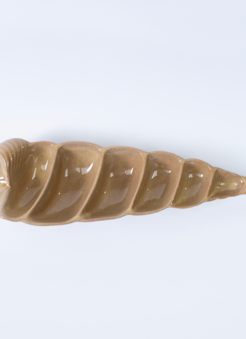 Coquillage conique beige foncé