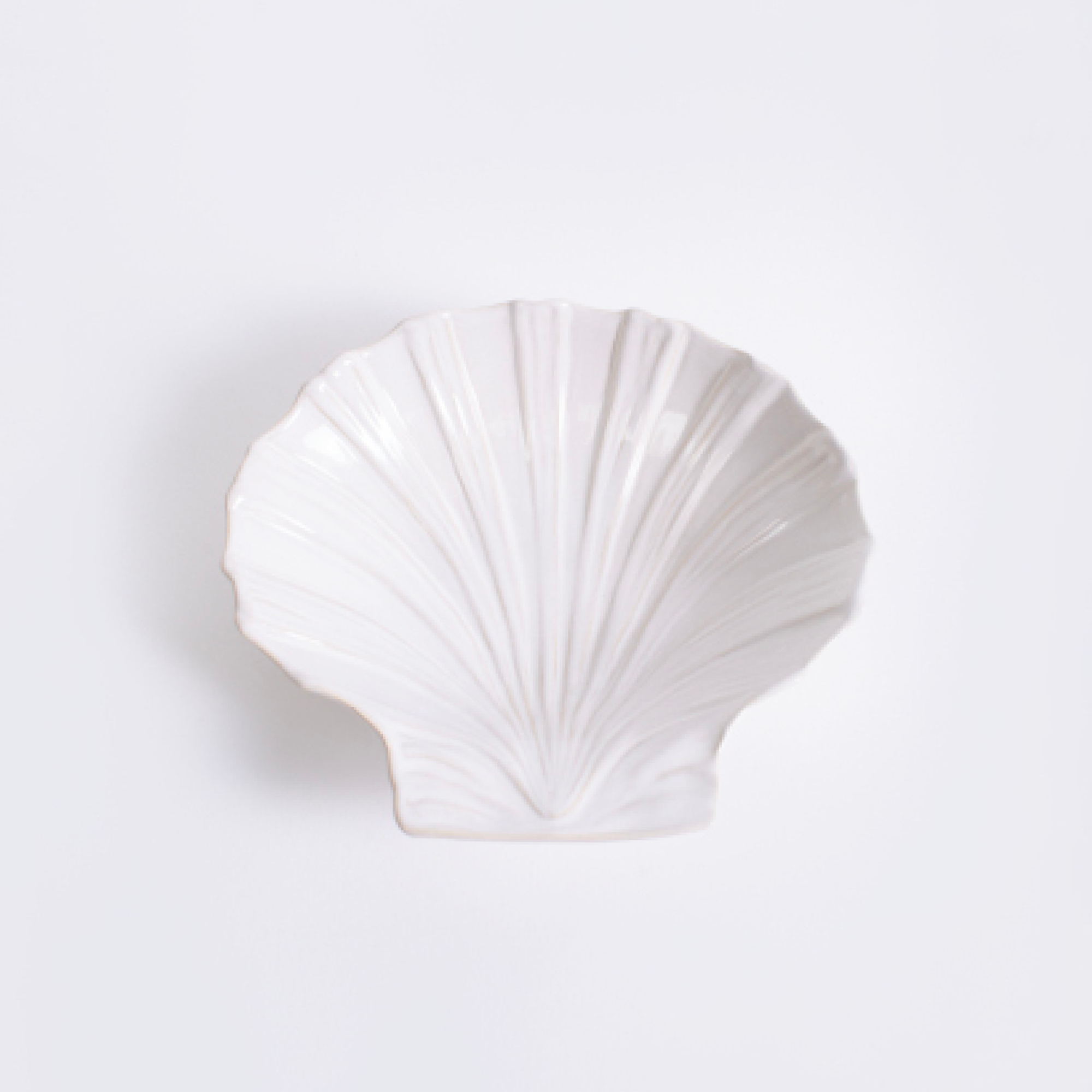 Plat coquille st jacques blanc Magasin Central