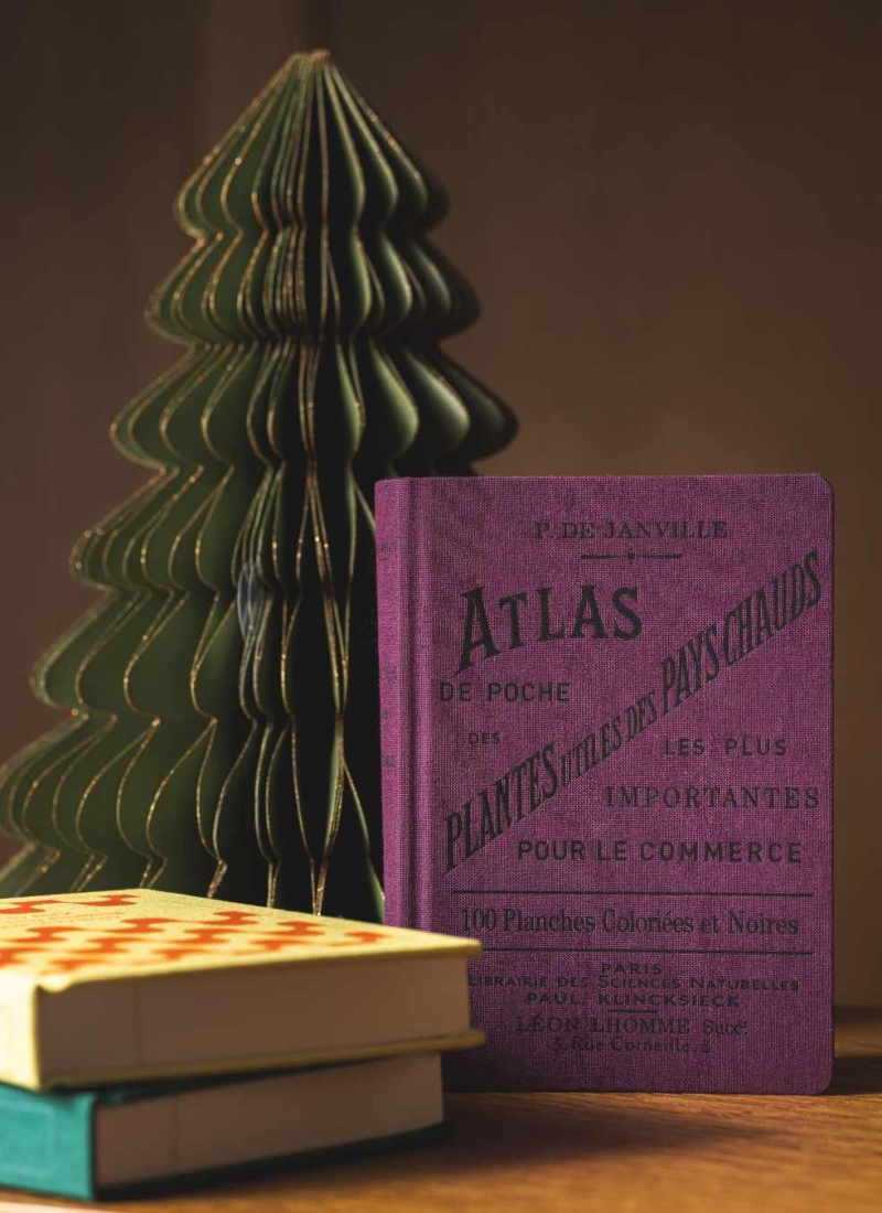 Atlas de poche des plantes des pays chauds