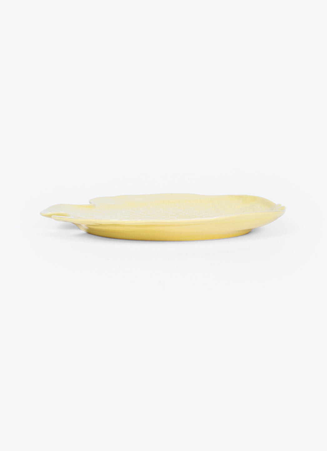 ASSIETTE PLAT POISSON GRESNOVO