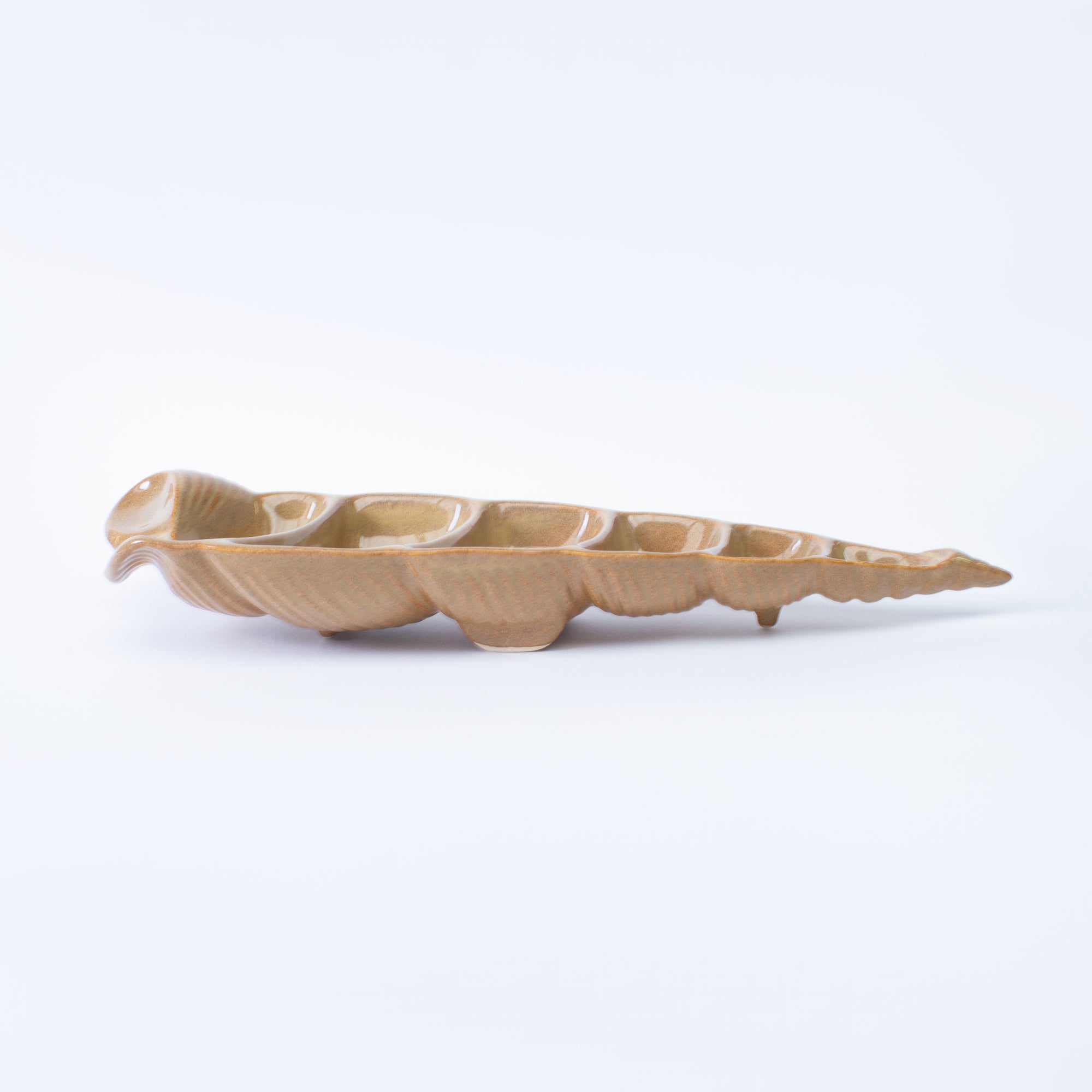 COQUILLAGE CONIQUE APERITIF GRESNOVO