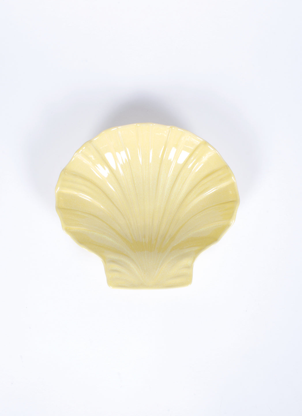 PLAT COQUILLE ST JACQUES GRESNOVO