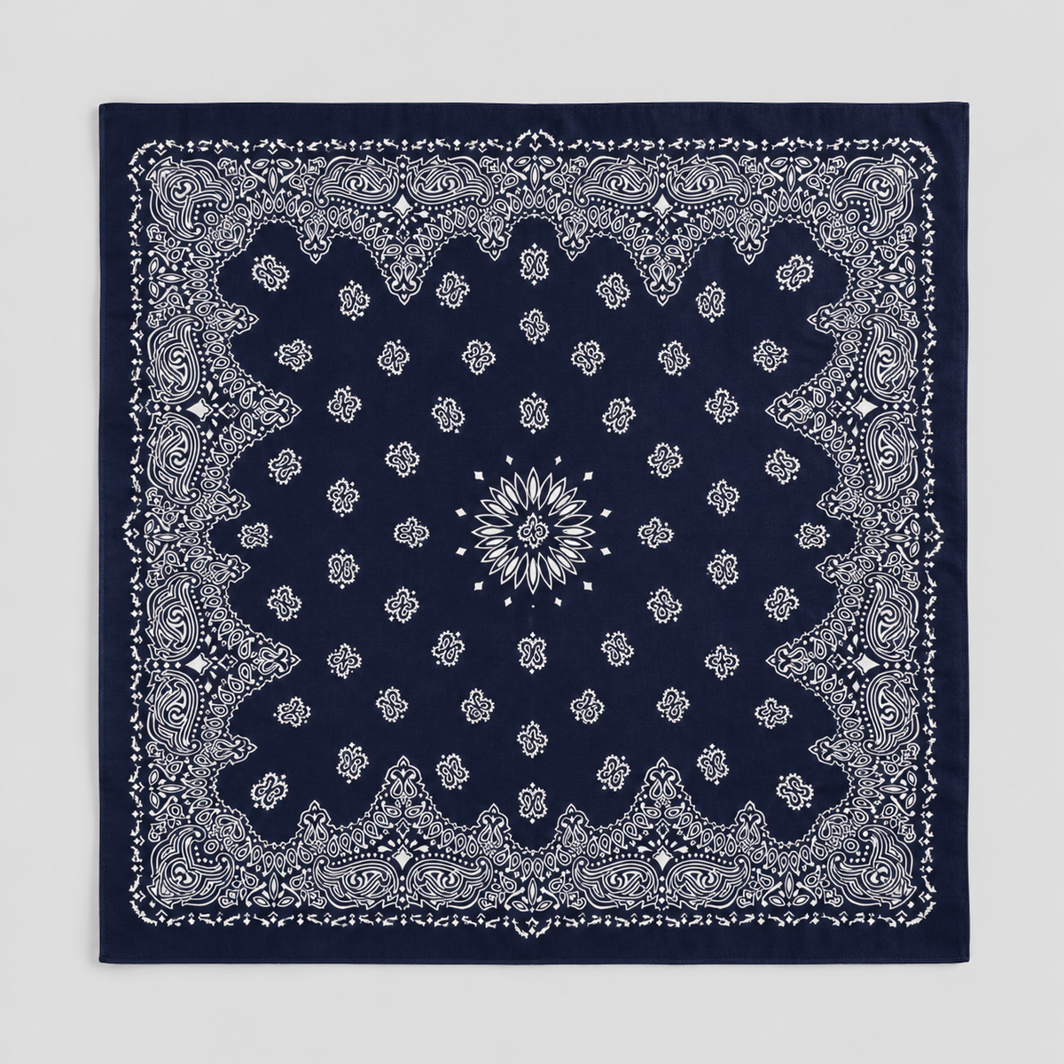 Foulard en soie et cachemire Himalayan Cashmere