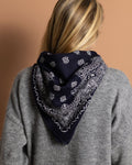 Foulard en soie et cachemire Himalayan Cashmere