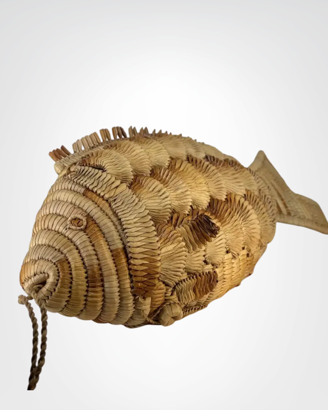 Boîte décorative en jacinthe d’eau – Poisson géant BOLONG