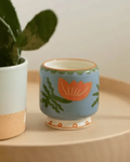 BOUGIE ADOPO FLEURS CACTUS DESIGN WORKS