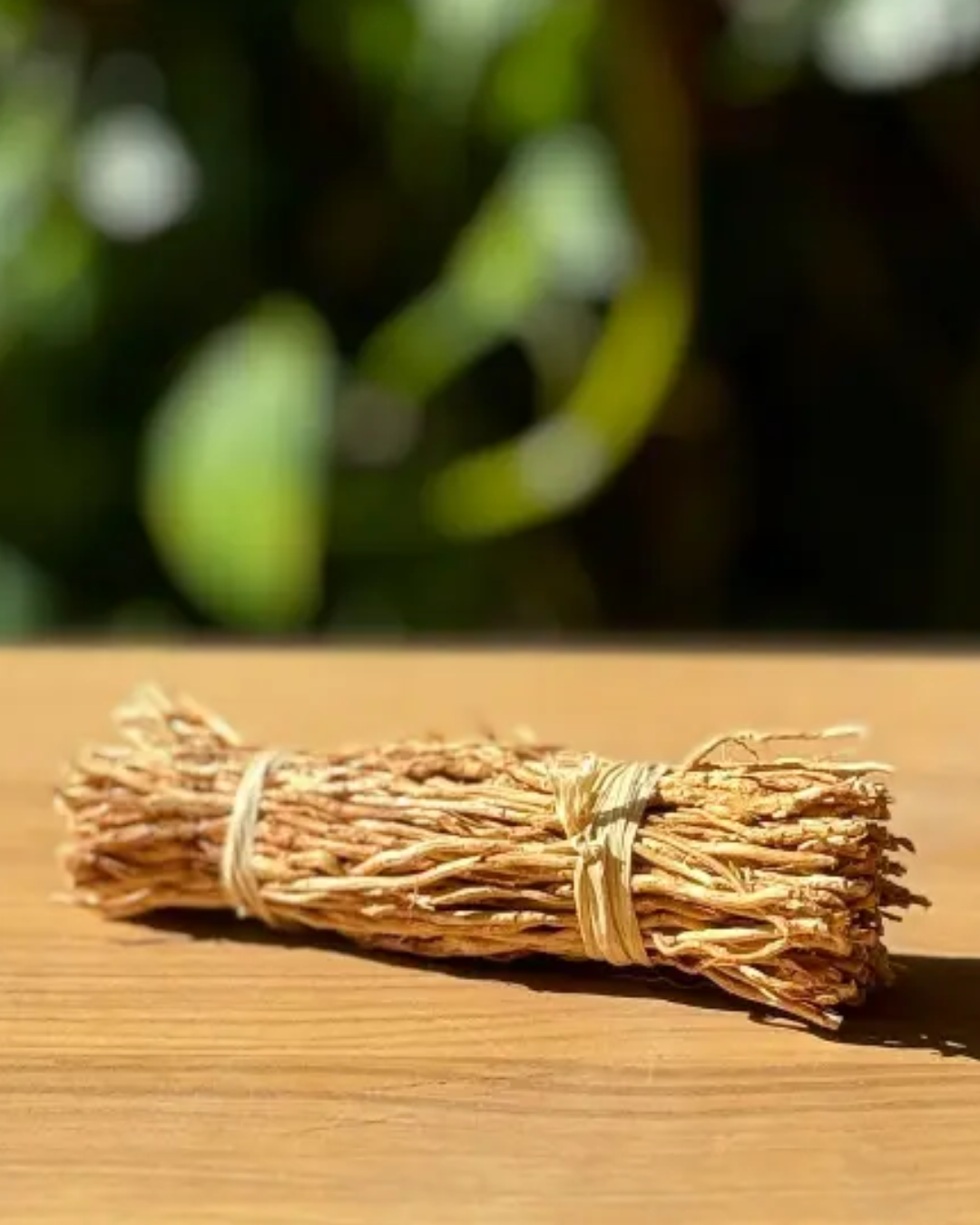 FAGOT VETIVER 14CM BOLONG