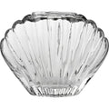 VASE COQUILLAGE TRANSPARENT